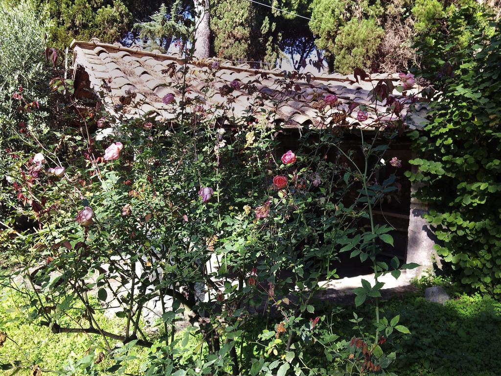 Casa Mora *