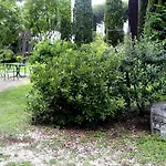 Casa Mora